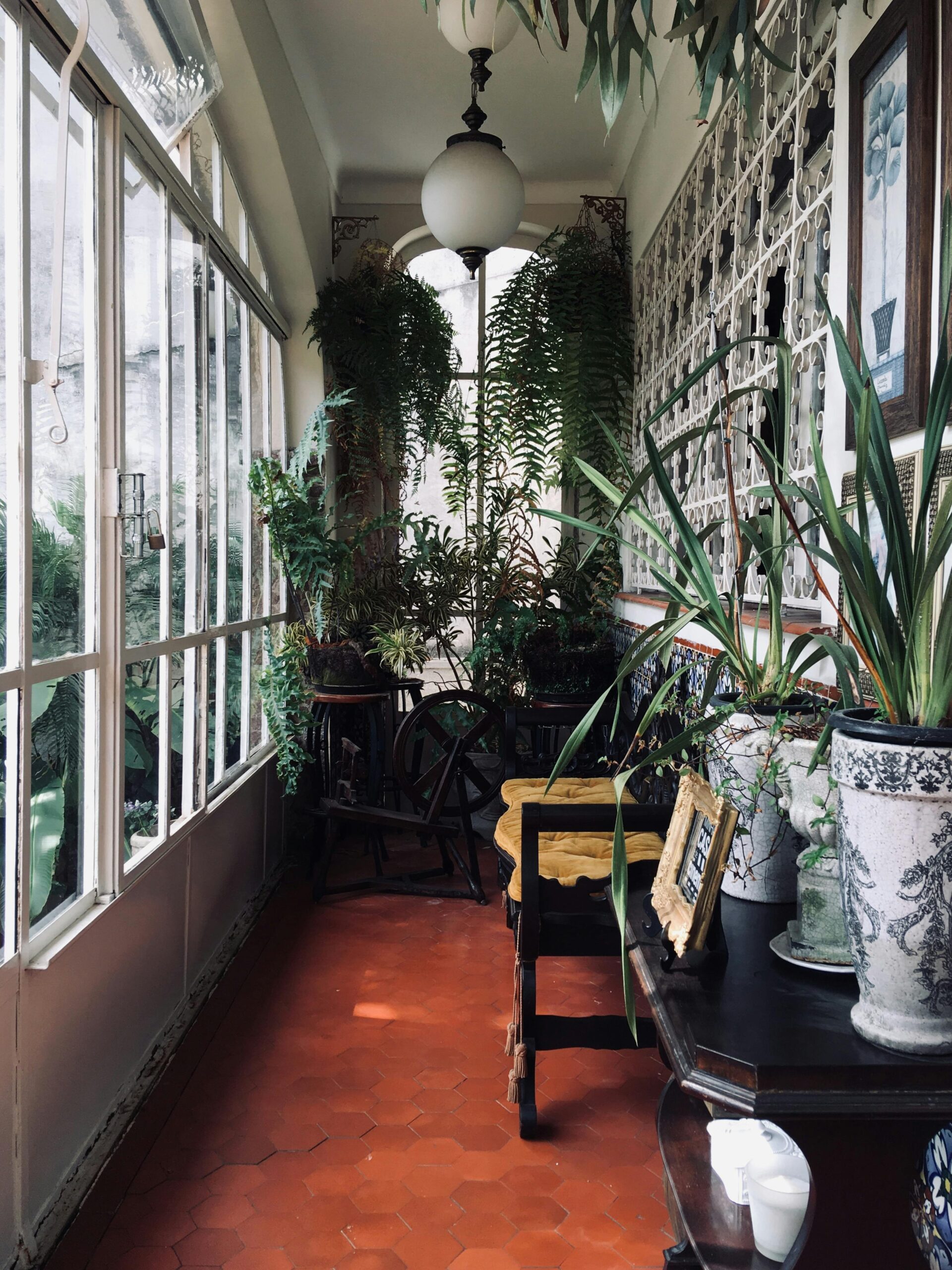 A sunlit indoor garden with lush plants and vintage decor creating a serene atmosphere.